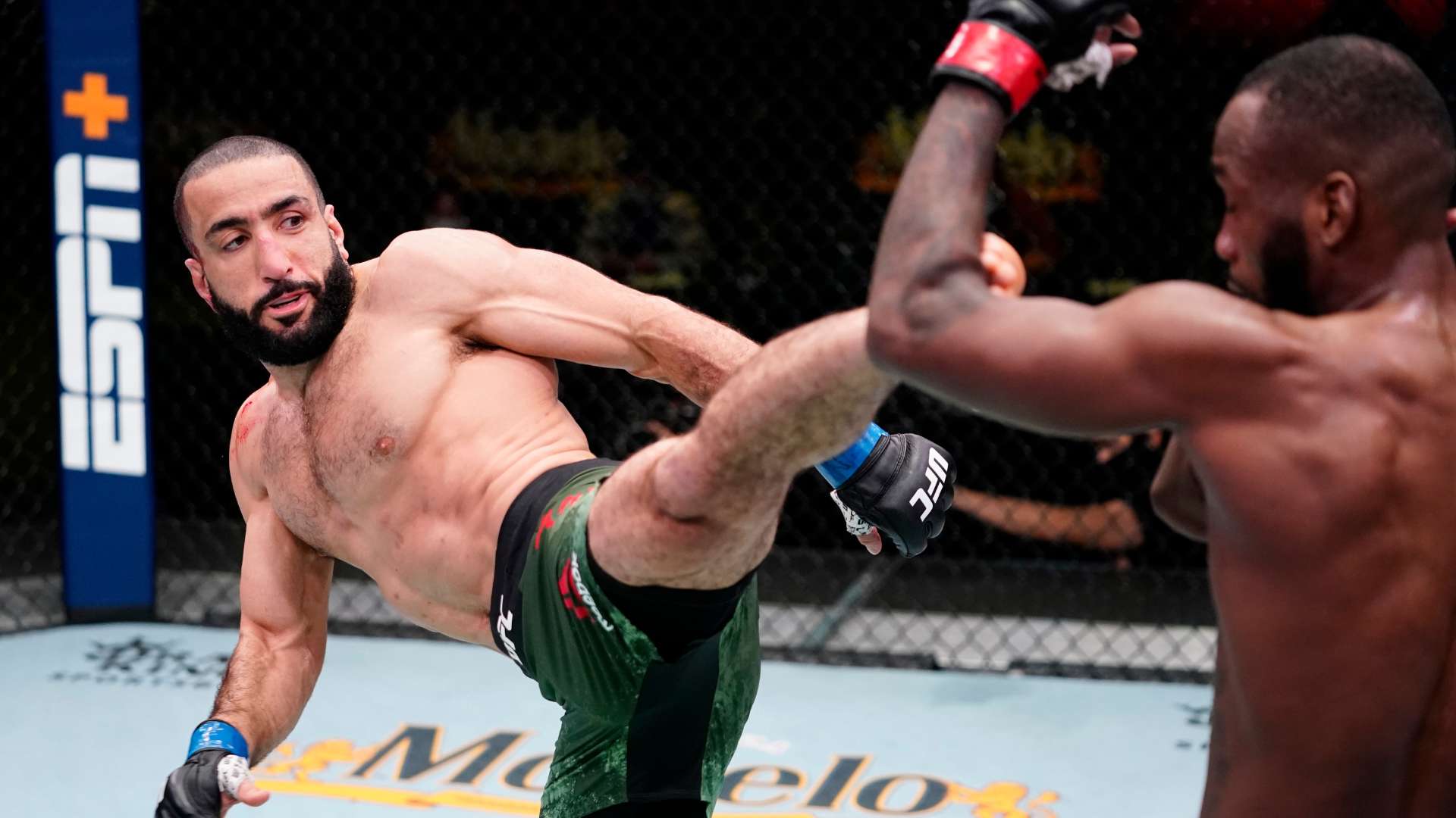 多世纪的历 多世纪的历